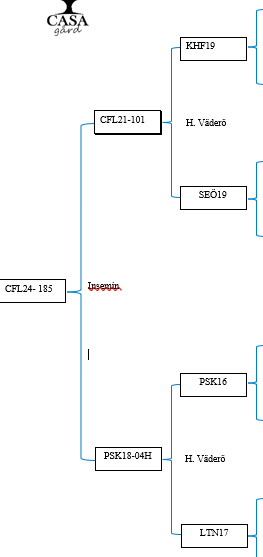 Avelsdrottning - Bild 4